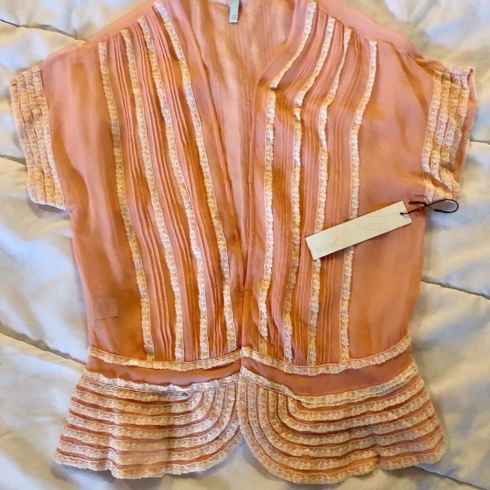 MINT- Sheer Dress Blouse (Size 2)